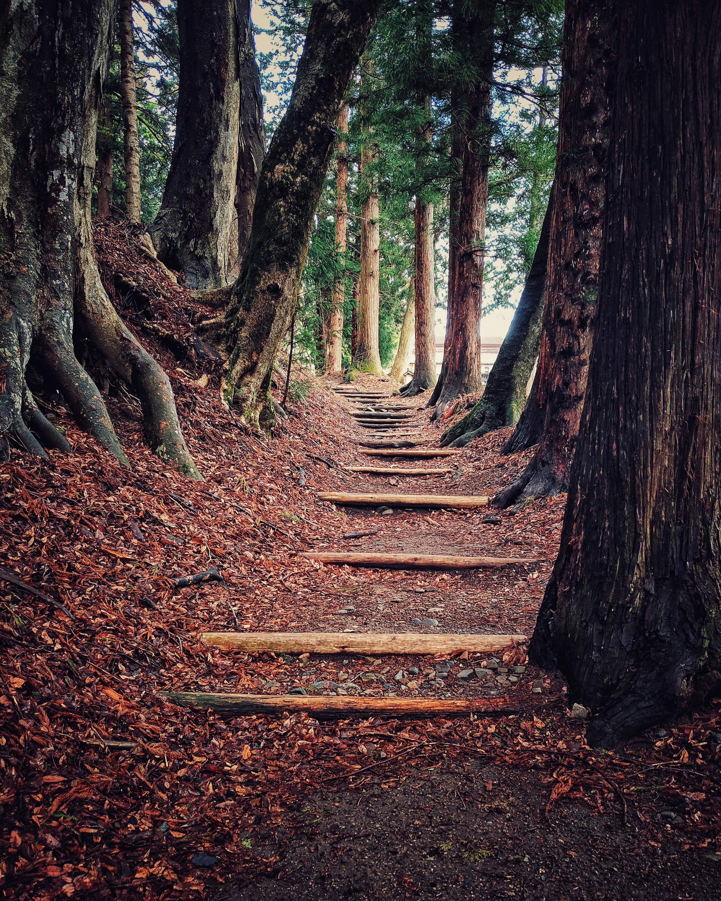 Wooden steps along the Nakasendō trail in Japan