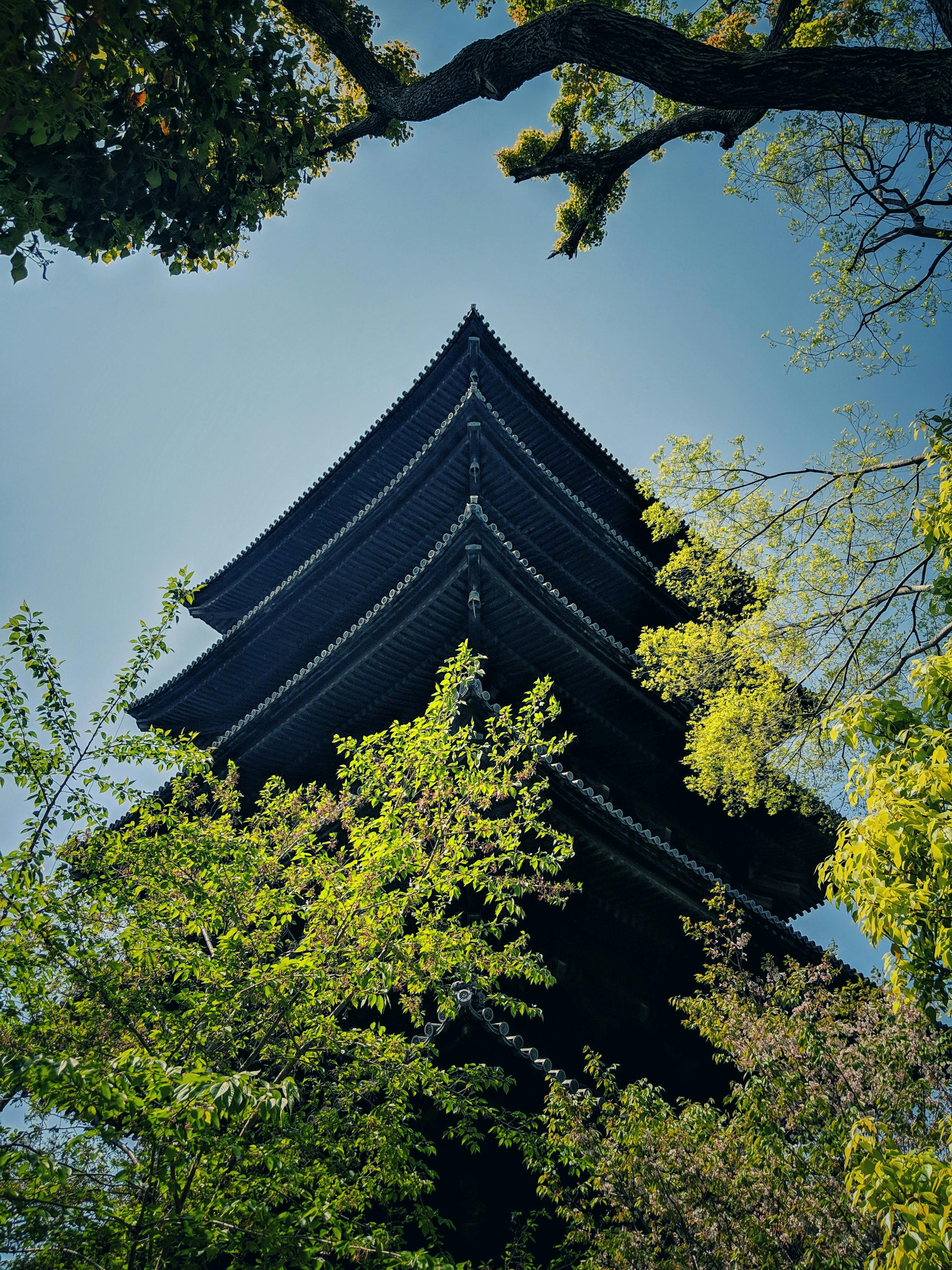 A view of a pagoda through green tree branches in Kyoto, Japan